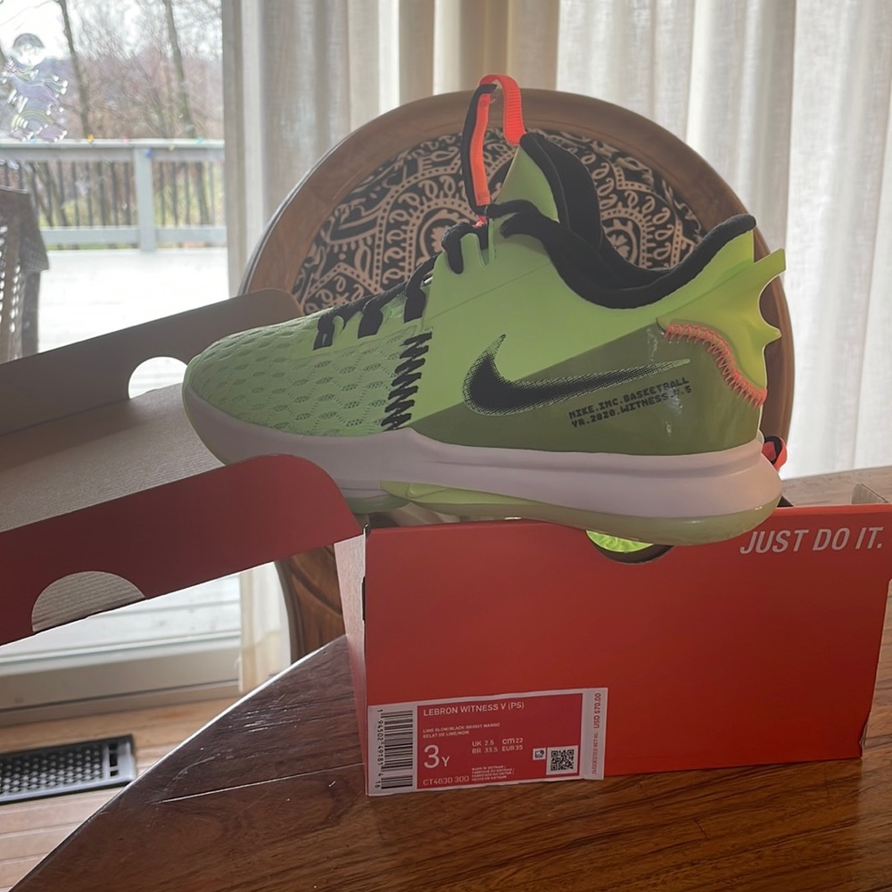 Nike LeBron witness V (PS)